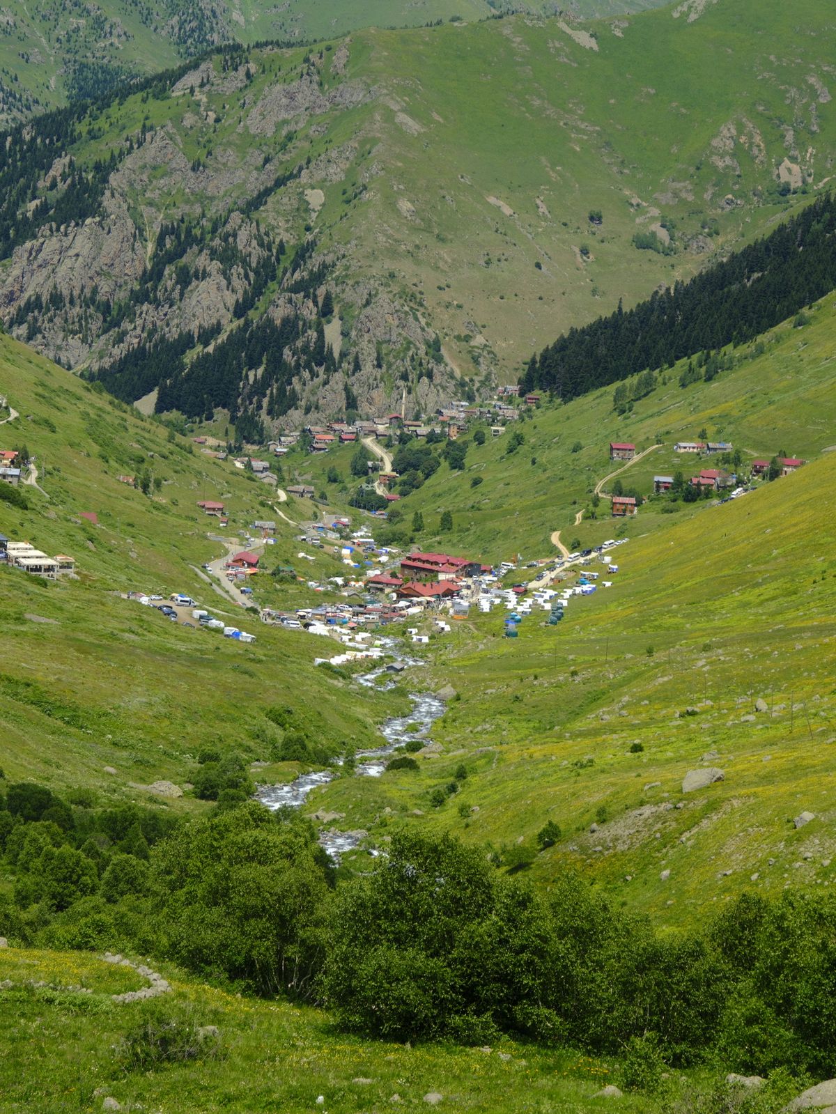 Yeşil vadi ve yayla görünümü