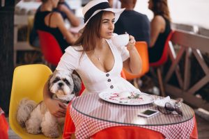 young-lady-bar-with-cute-dog-having-lunch-1-300x200 young-lady-bar-with-cute-dog-having-lunch (1)