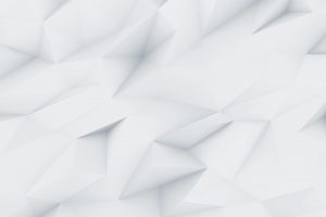 demo-image-00002-300x200 demo-image-00002