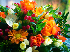 demo-photo-3-300x222 demo-photo-3