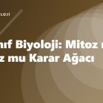 10. Sınıf Biyoloji: Mitoz mu Mayoz mu Karar Ağacı