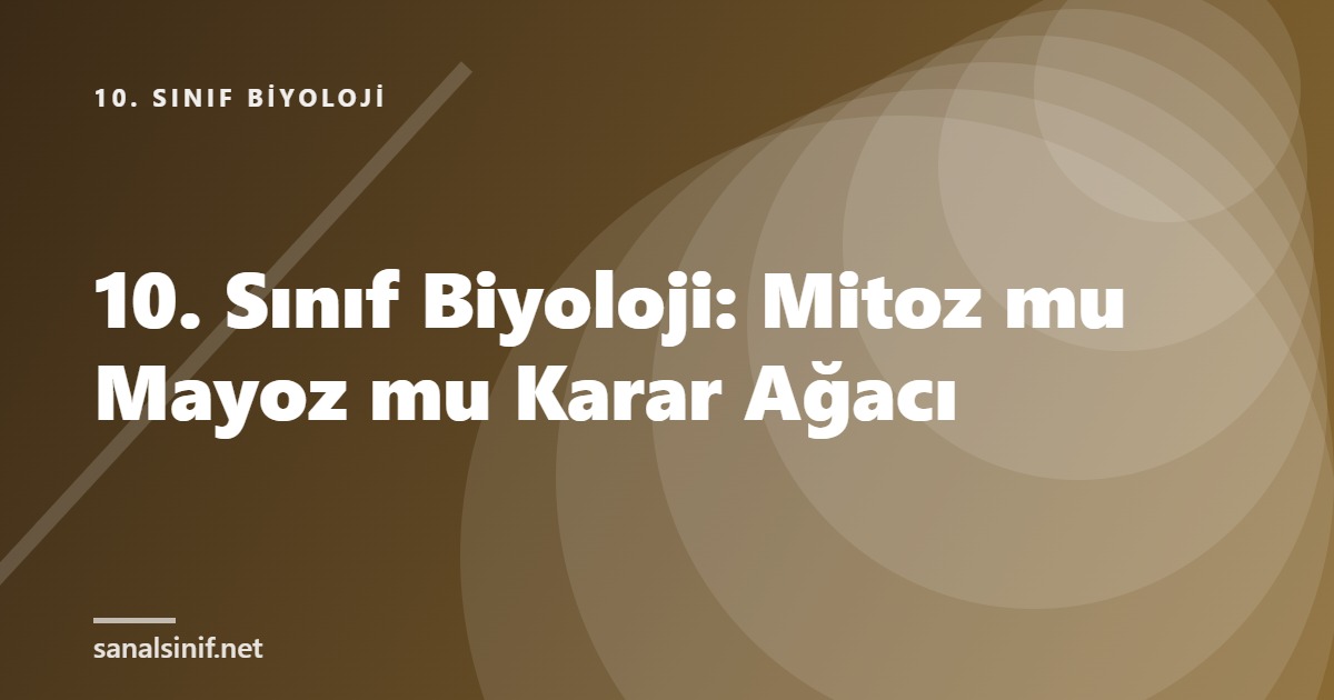 10. Sınıf Biyoloji: Mitoz mu Mayoz mu Karar Ağacı