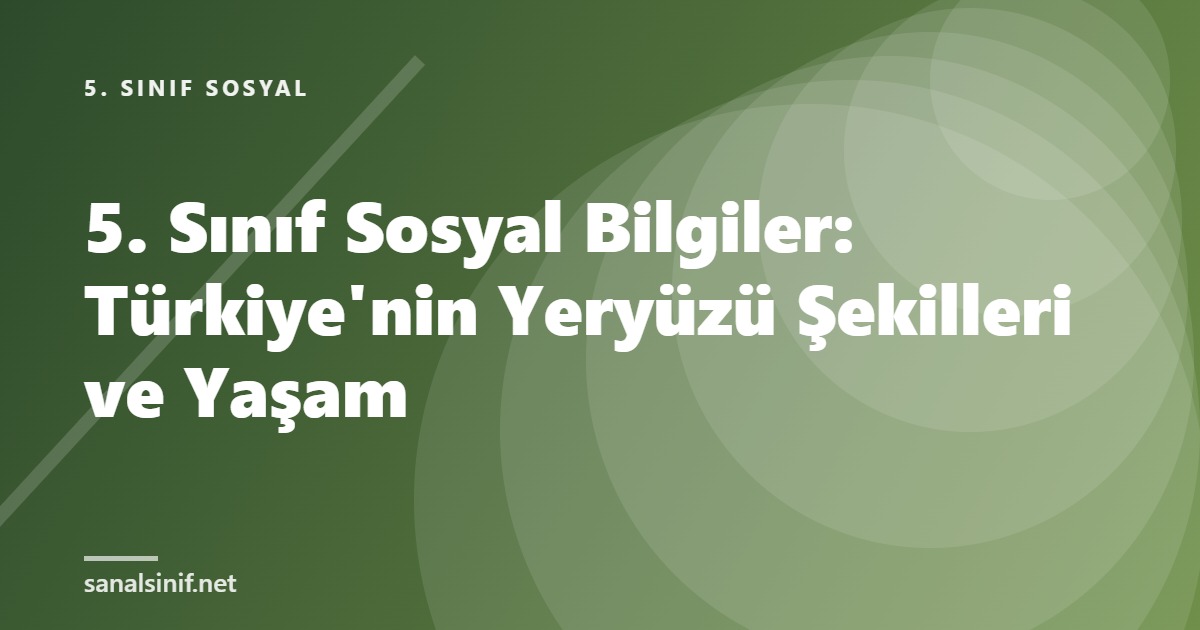 5. Sınıf Sosyal Bilgiler: Türkiye'nin Yeryüzü Şekilleri ve Yaşam