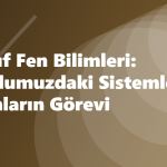 6. Sınıf Fen Bilimleri: Vücudumuzdaki Sistemler ve Organların Görevi