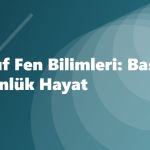 8. Sınıf Fen Bilimleri: Basınç ve Günlük Hayat