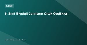 9.