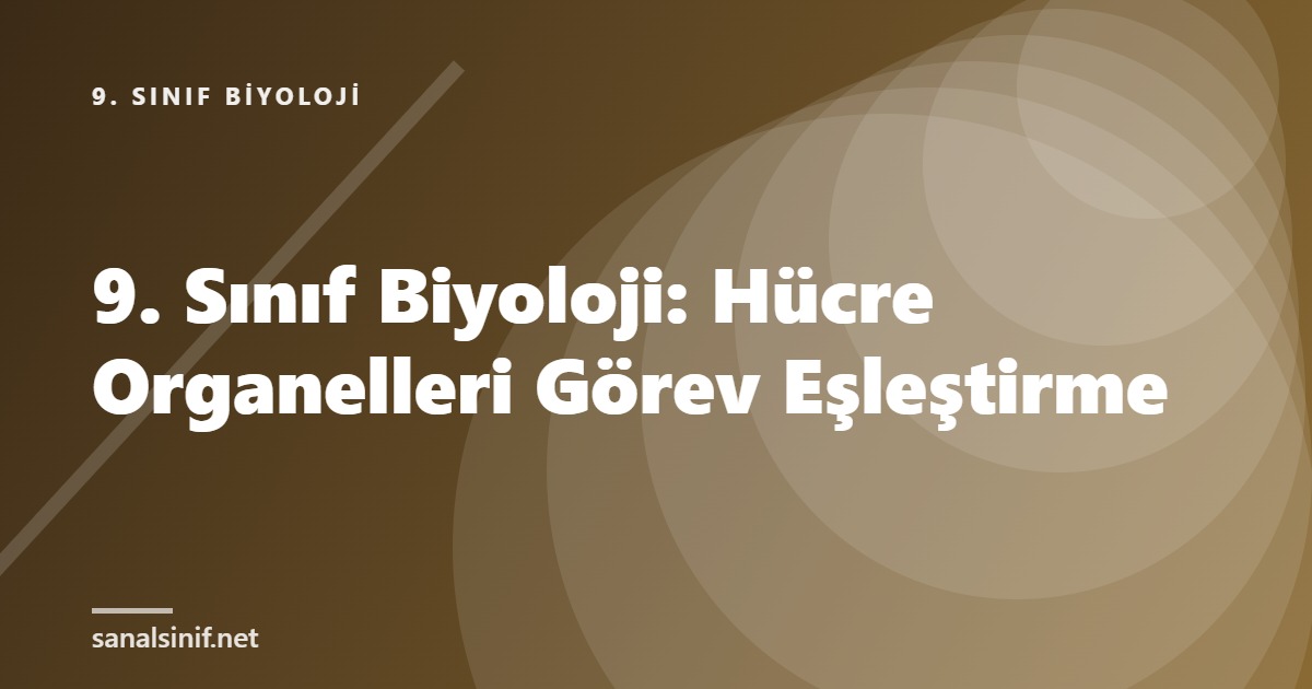 9. Sınıf Biyoloji: Hücre Organelleri Görev Eşleştirme