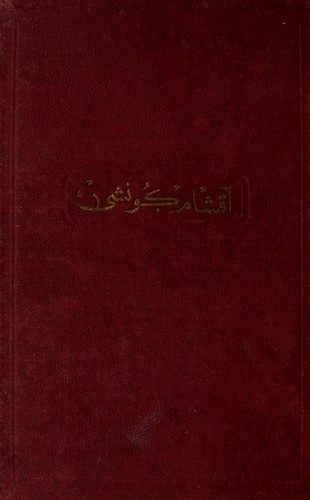 Akşam Güneşi kitabının kapağı - Reşat Nuri Güntekin